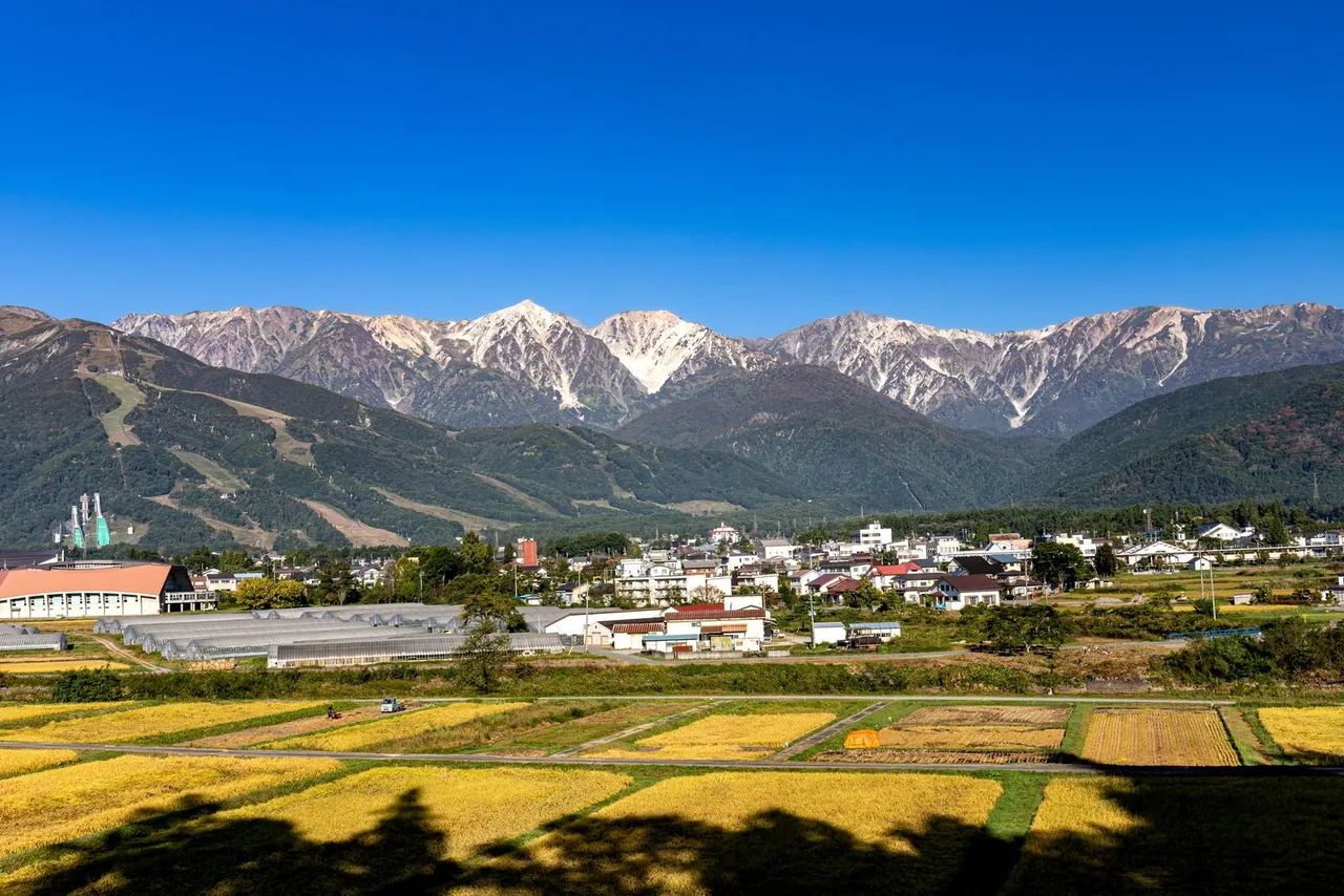 Golden rice fields and the houses of Hakuba village below the Hakuba mountains in October