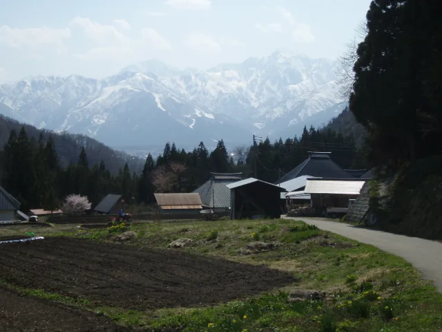 Farmhouses with metal roofs beside a field in Aoni, Hakuba, with the snow-covered Northern Alps behind